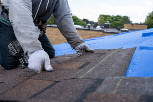 Best Sheet Metal Roofing  in Kingman, KS